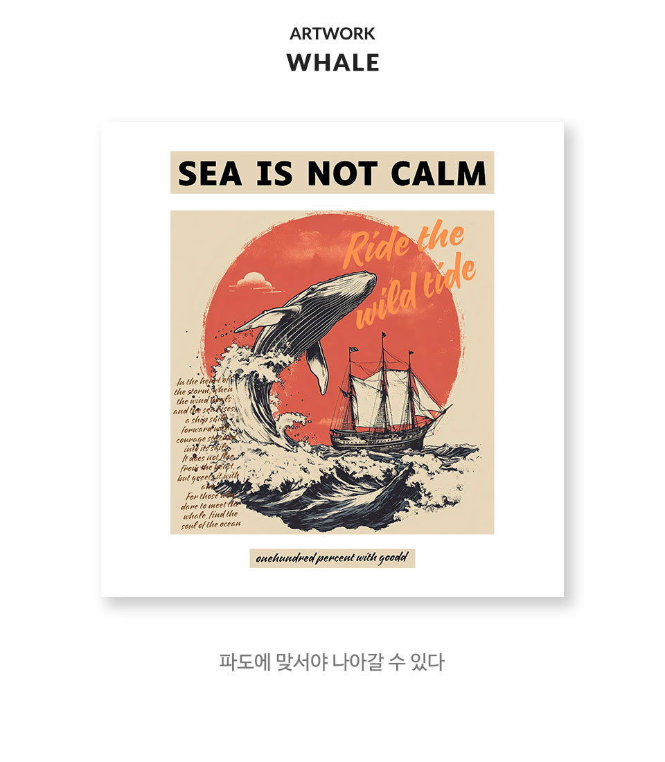 b컬러풀타이거