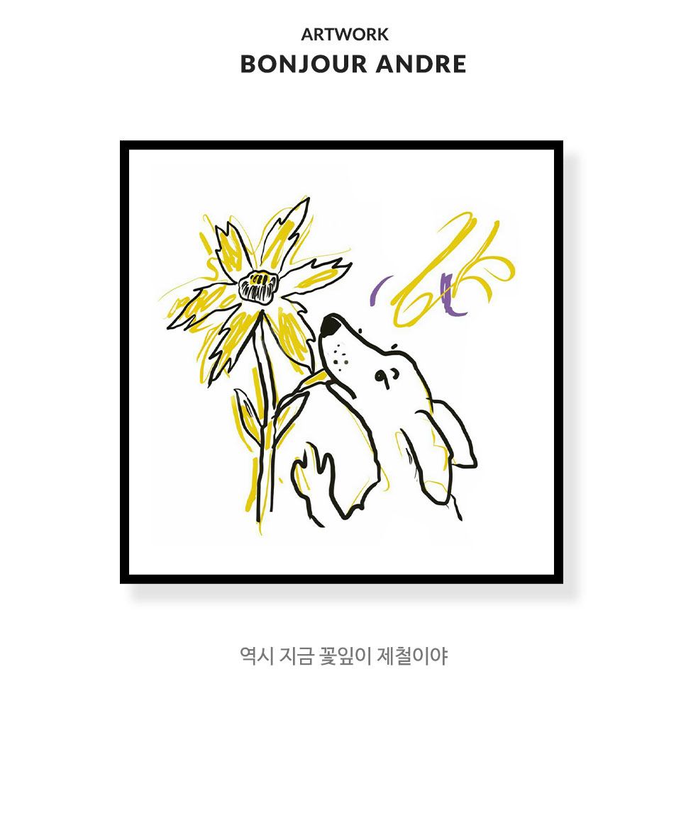 작품설명